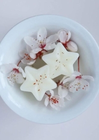 Cherry Blossom and Plum Wax Melts